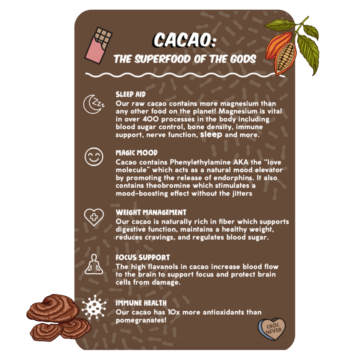 Reishi Cacao: Superfood Hot Chocolate